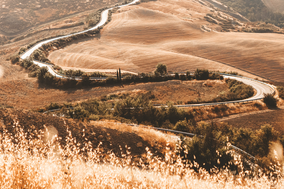 Autumn in Tuscany: A picturesque view of the rolling hills, adorned with the warm and vibrant hues of fall foliage, takes you on a journey through time, as you relive the memories of your visit to the scenic Tuscan countryside.