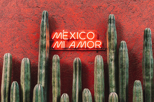 A row of tall cacti plants against a vibrant red wall, showcasing the unique flora and architecture of Mexico